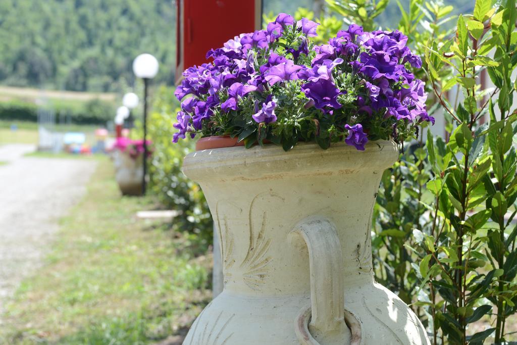 Hotel Camping Vigna Di Valle Anguillara Sabazia Exterior foto